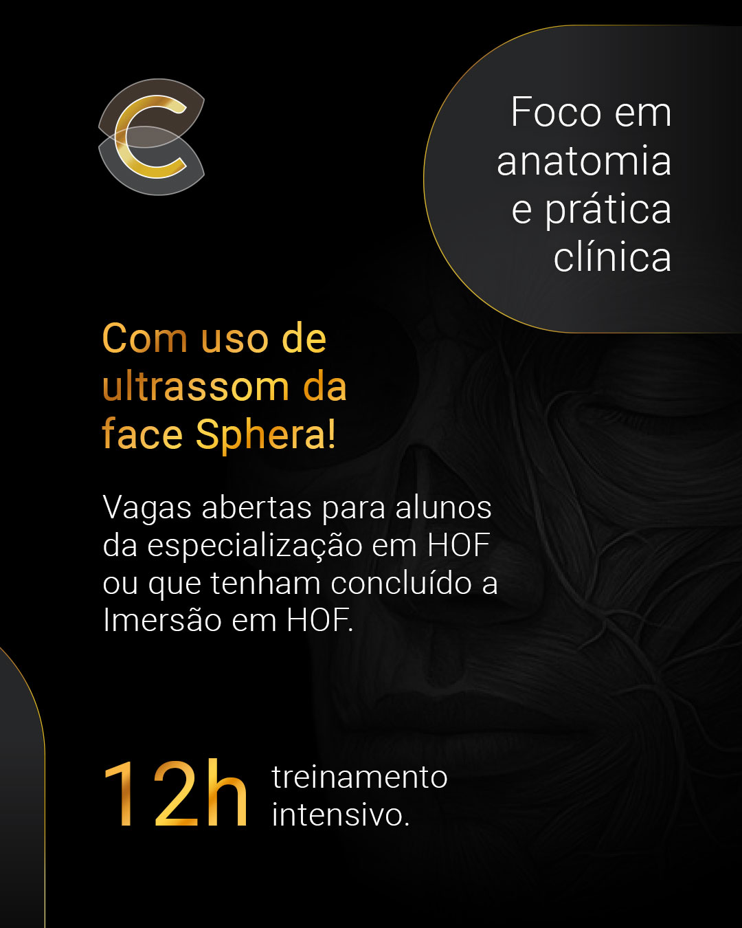 06---Anatomia-Facial-e-Tecnicas-na-HOFv2_02.jpg